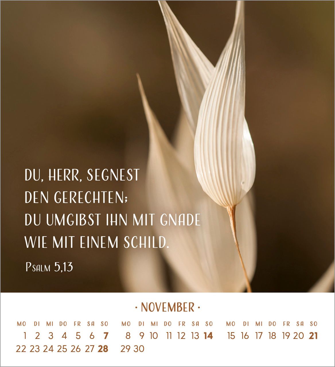 Tischkalender - Zarte Blumengrüße 2027