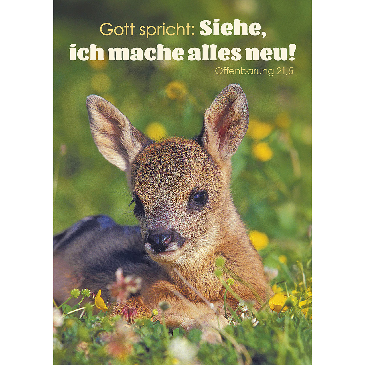 Gott spricht: Siehe, ich mache alles neu!