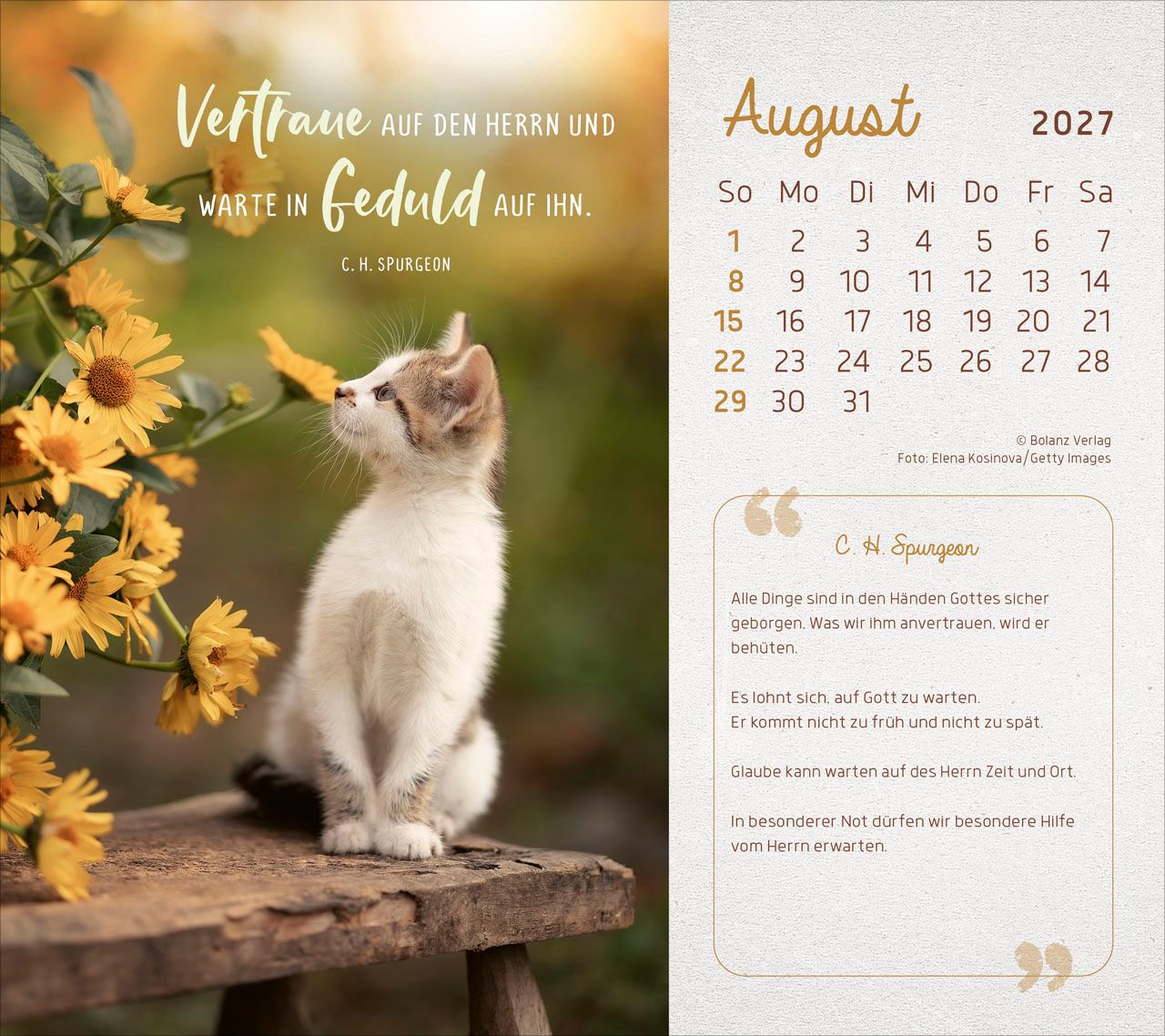 Tischkalender - Mit seiner Kraft durchs Jahr 2027 Tischkalender