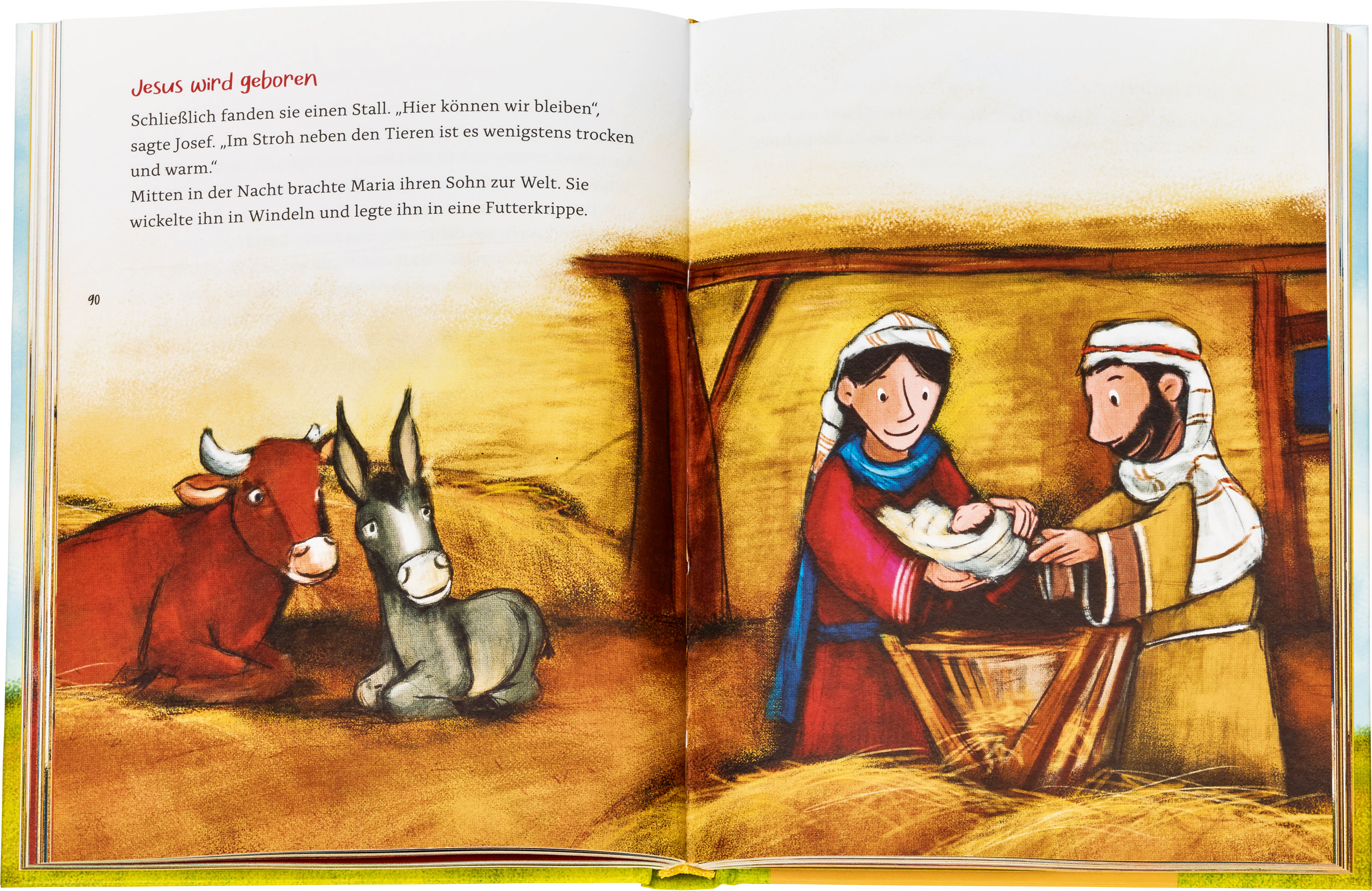 Kinderbibel - Die bunte Kinderbibel für dich - Wiese Menschen Himmel