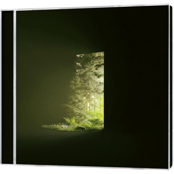 Come up here (CD)