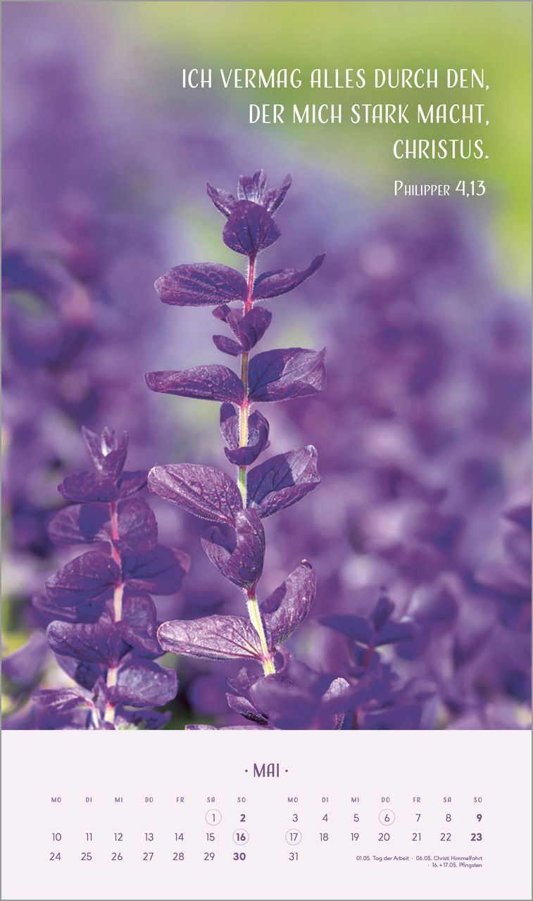 Posterkalender - Zarte Blumengrüße 2027 Posterkalender