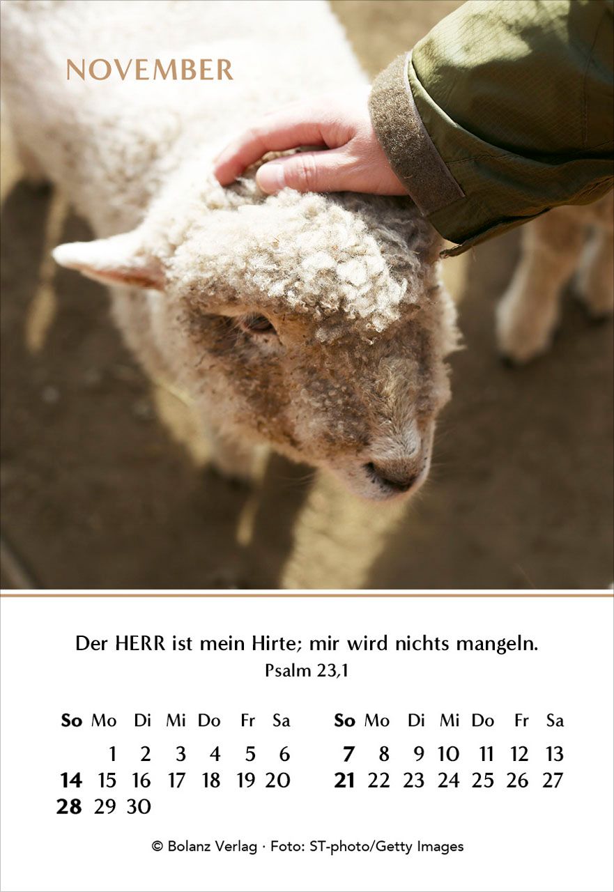 Aufstellkalender - Ein Jahr der Geborgenheit 2027