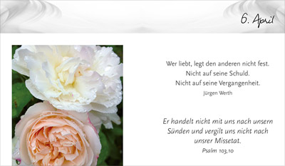 Geschenkbuch - Danke für 366 Tage - Blume