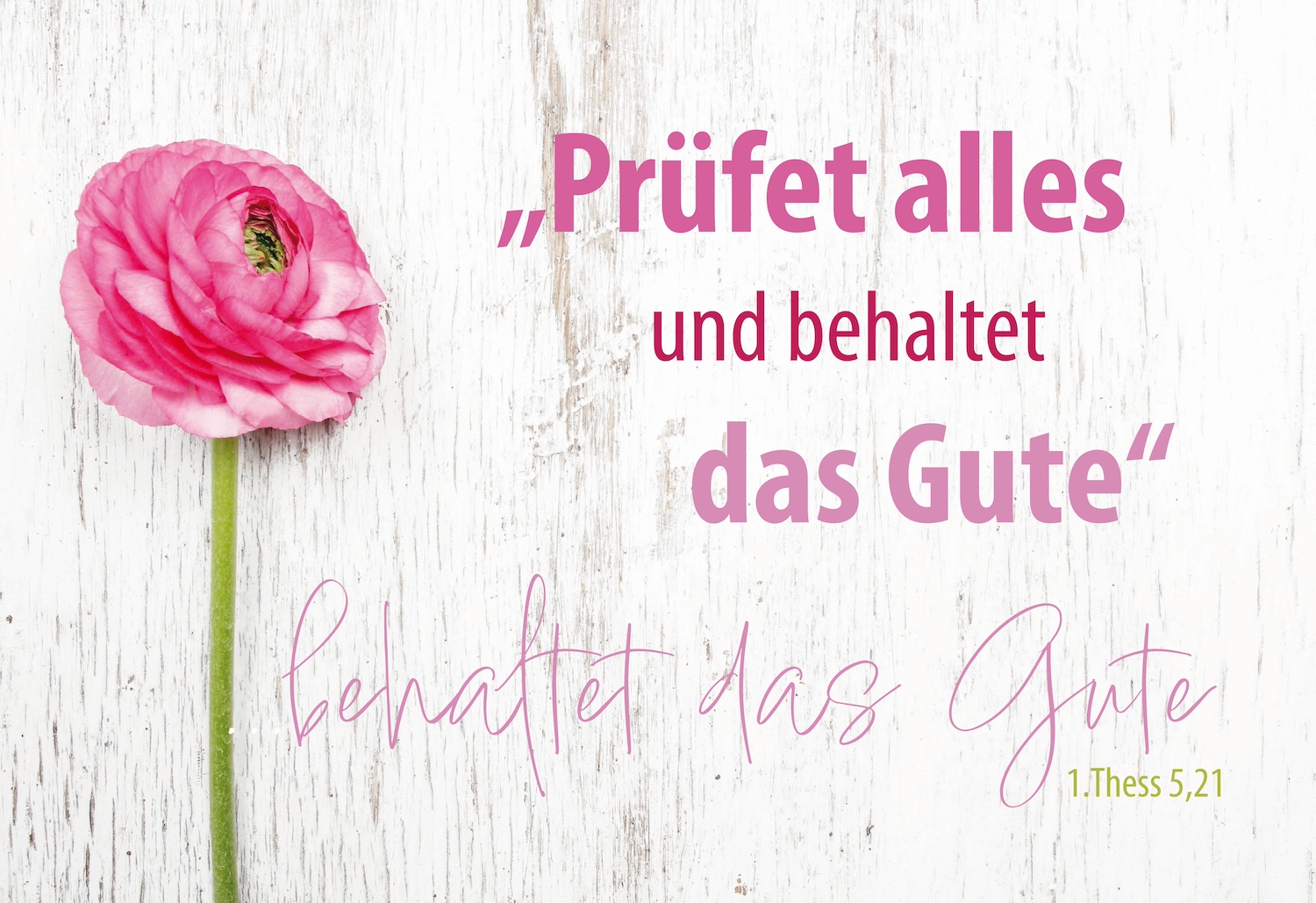 Postkarte 10 Ex. 'Prüfet alles und behaltet das Gute'       1. Thessalonicher 5,