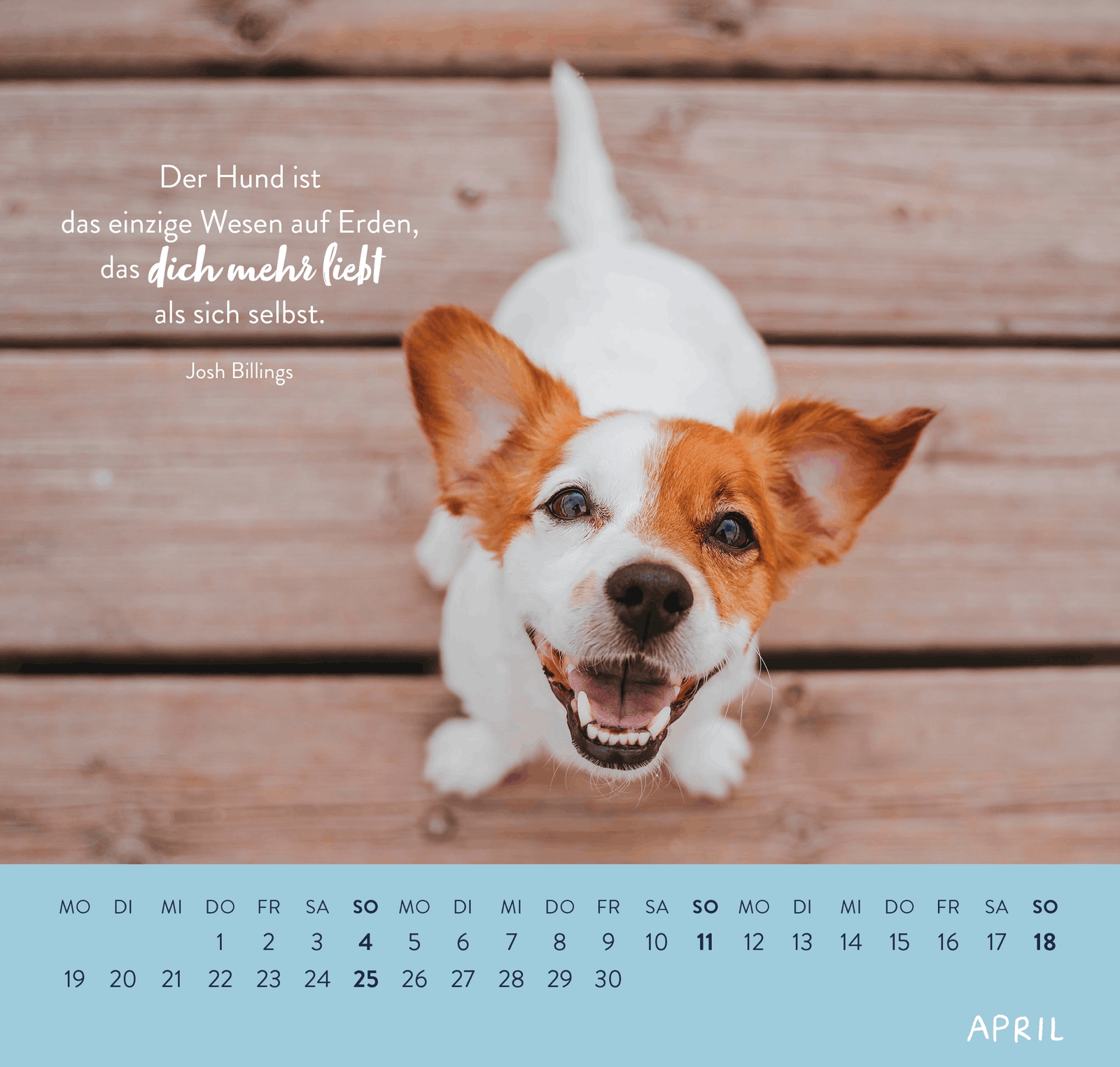 Wandkalender - Für Hundefreunde 2027