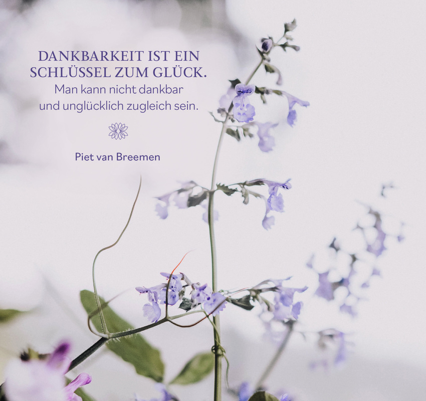 Aufstellbuch - Mein Dankbarkeitsprojekt - Blumen Blüten Aufstellbuch