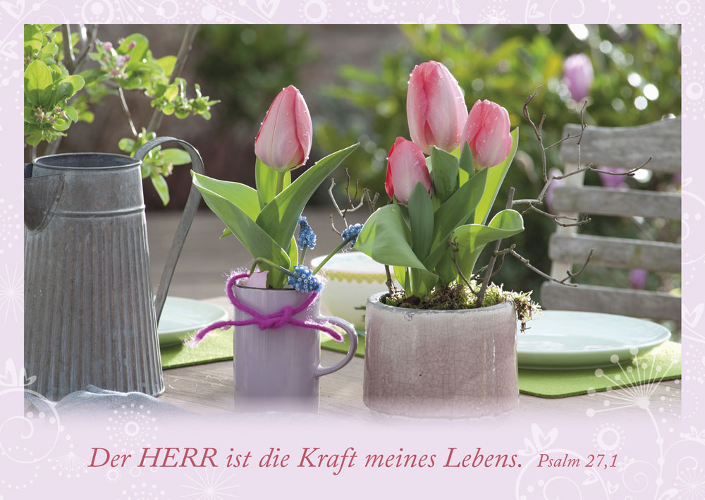 Postkarten - Postkarte 'Der Herr ist die Kraft meines Lebens. Psalm 27,1' 10 Ex. - Postkarte Tulpen Blumentopf Esstisch Gartenmöbel