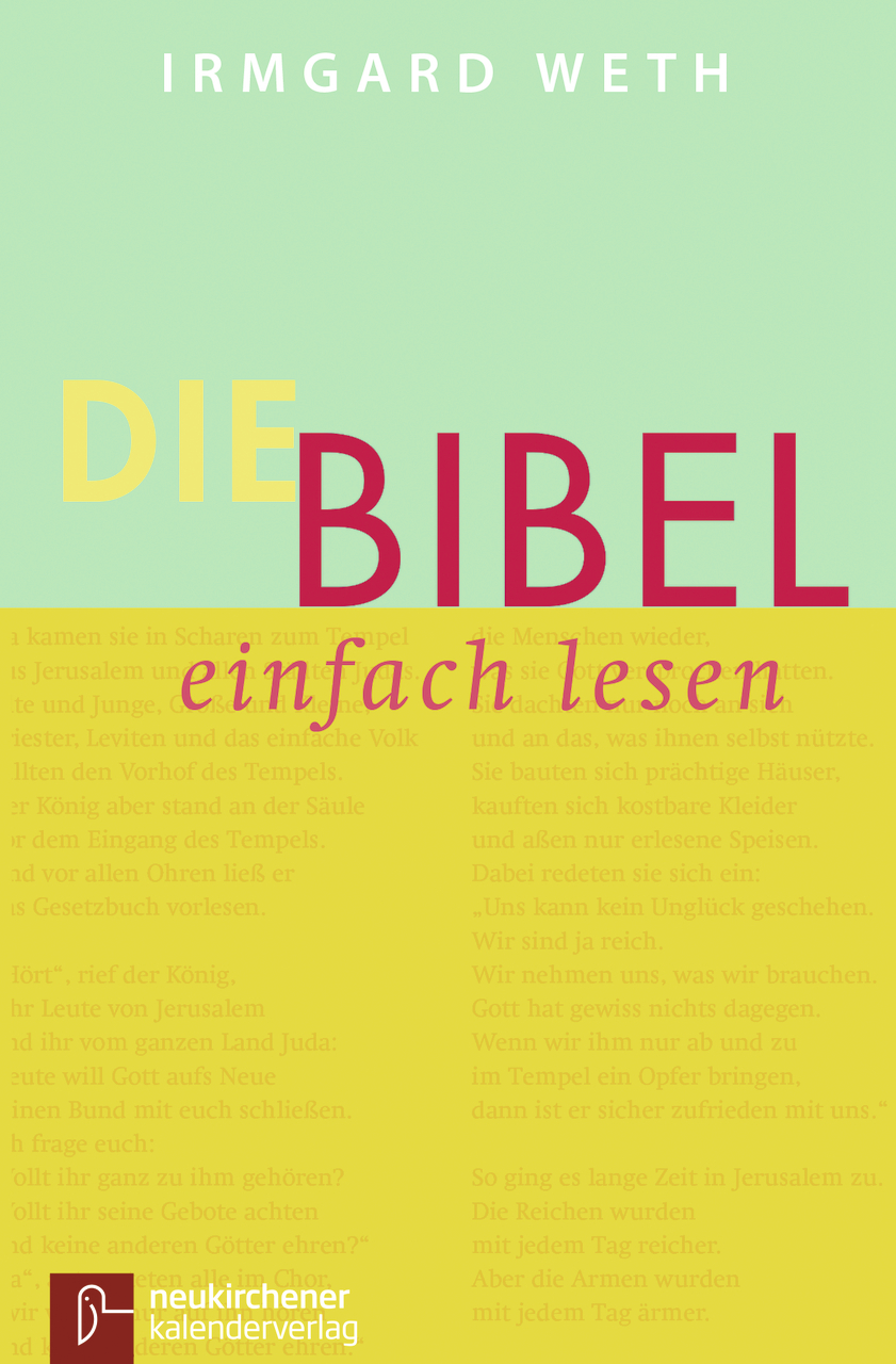 Die Bibel. einfach lesen (kartoniert)