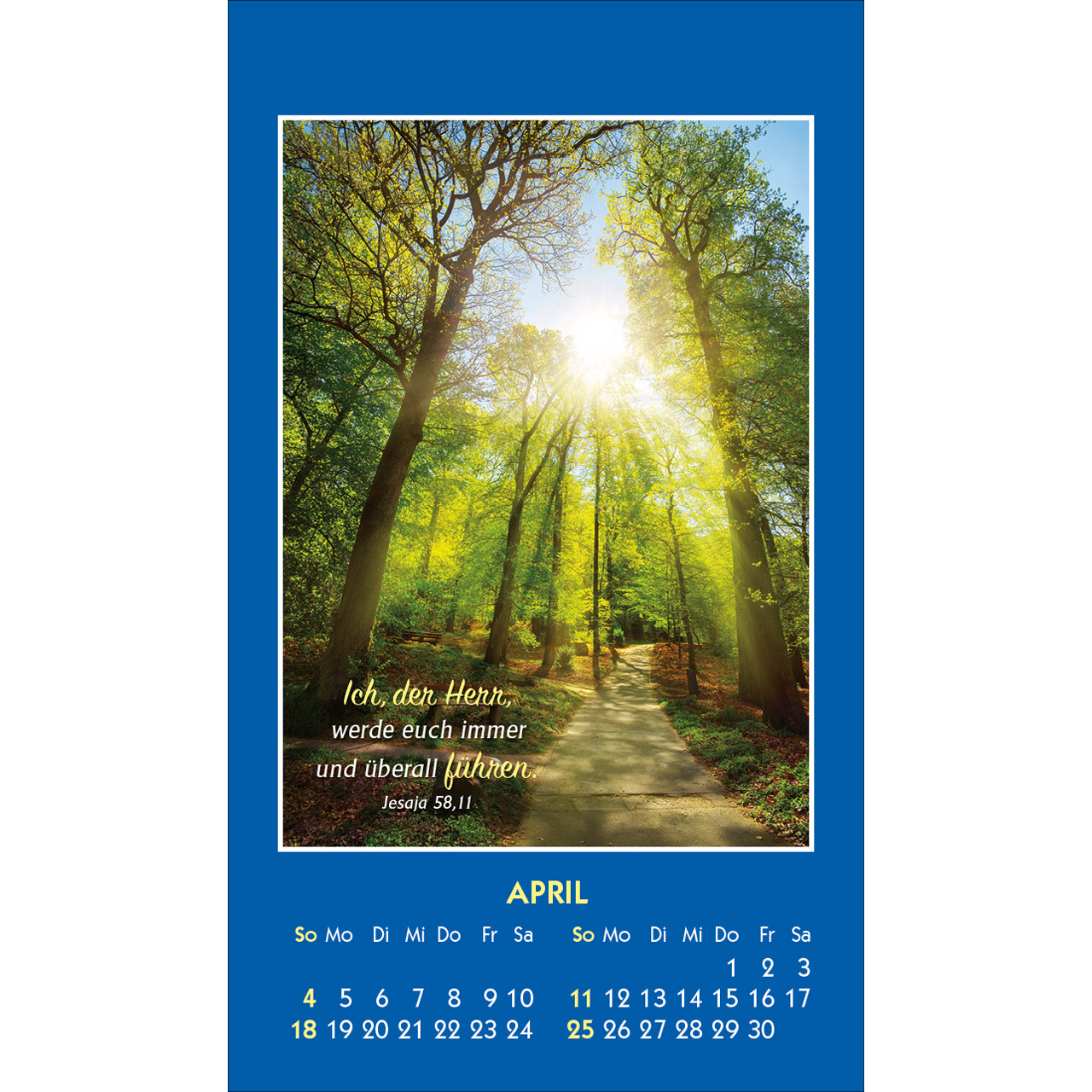 Aufkleberkalender - Gottes Wort - Licht für den Tag 2027