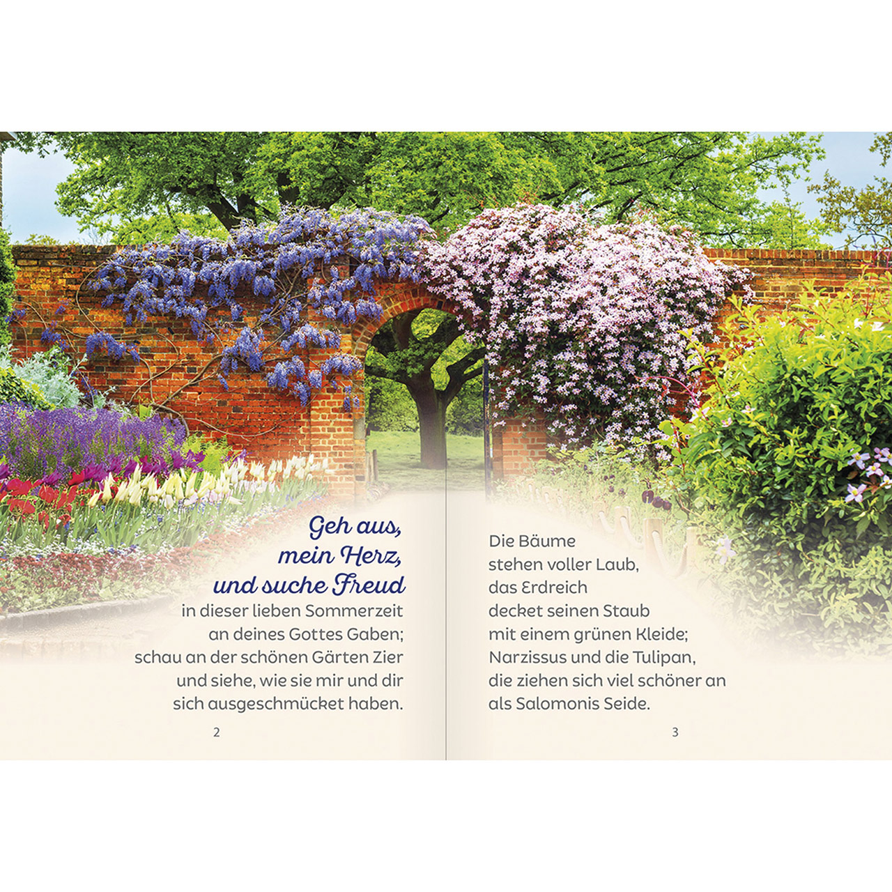 Grußheft - Geh aus, mein Herz, und suche Freud - Klatschmohn Blumenwiese