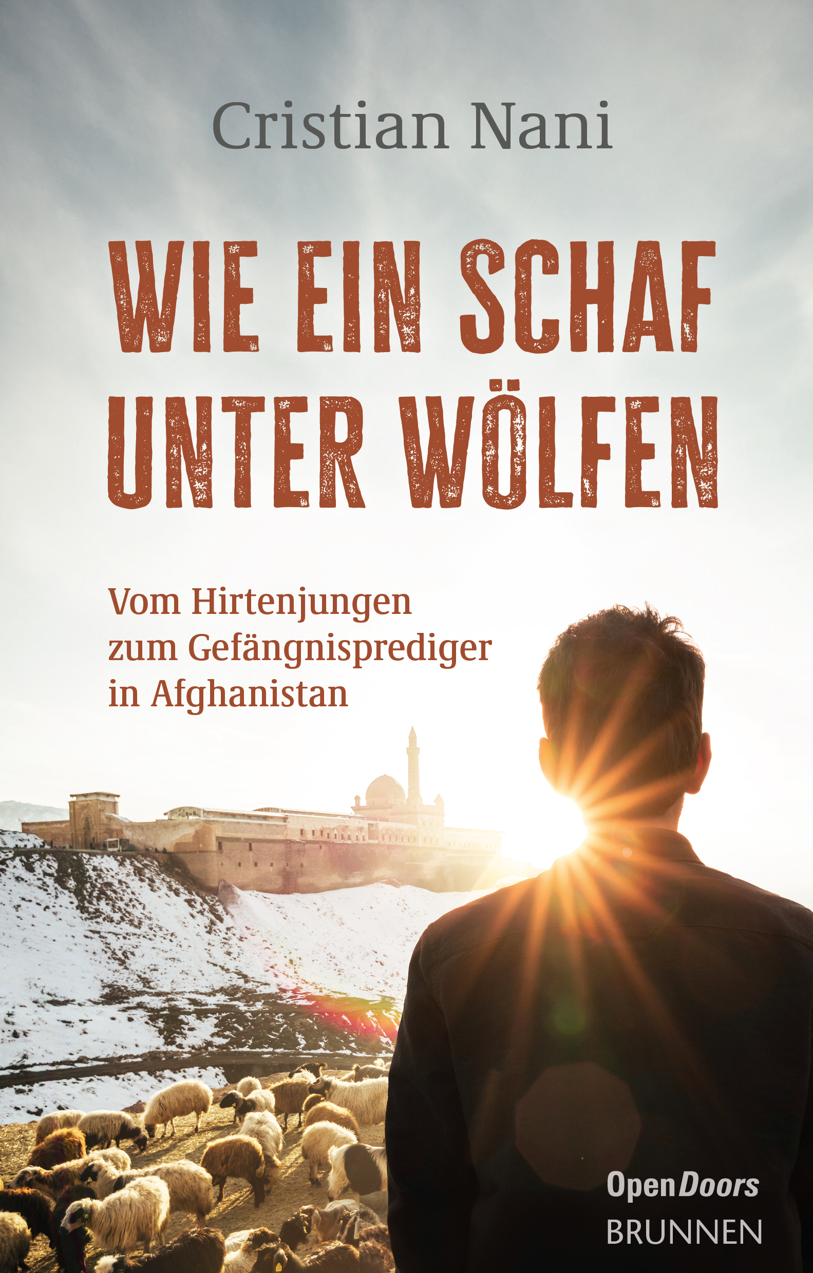 Buch - Wie ein Schaf unter Wölfen - Schafe Mann Haus