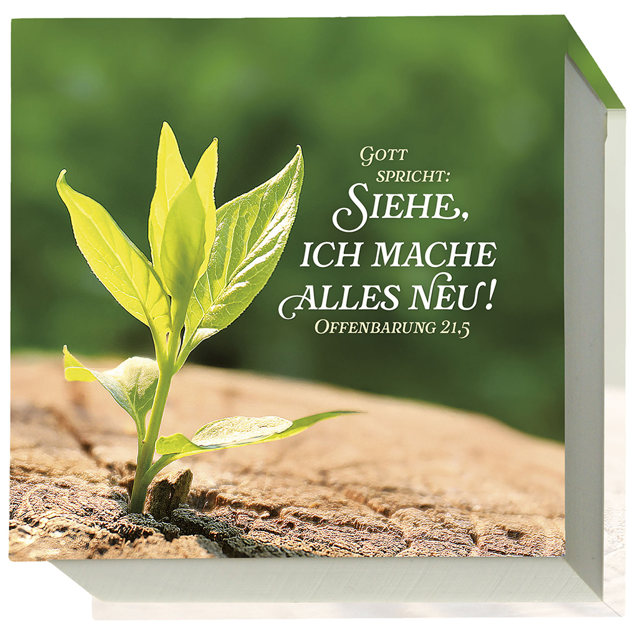 Gott spricht: Siehe, ich mache alles neu!
