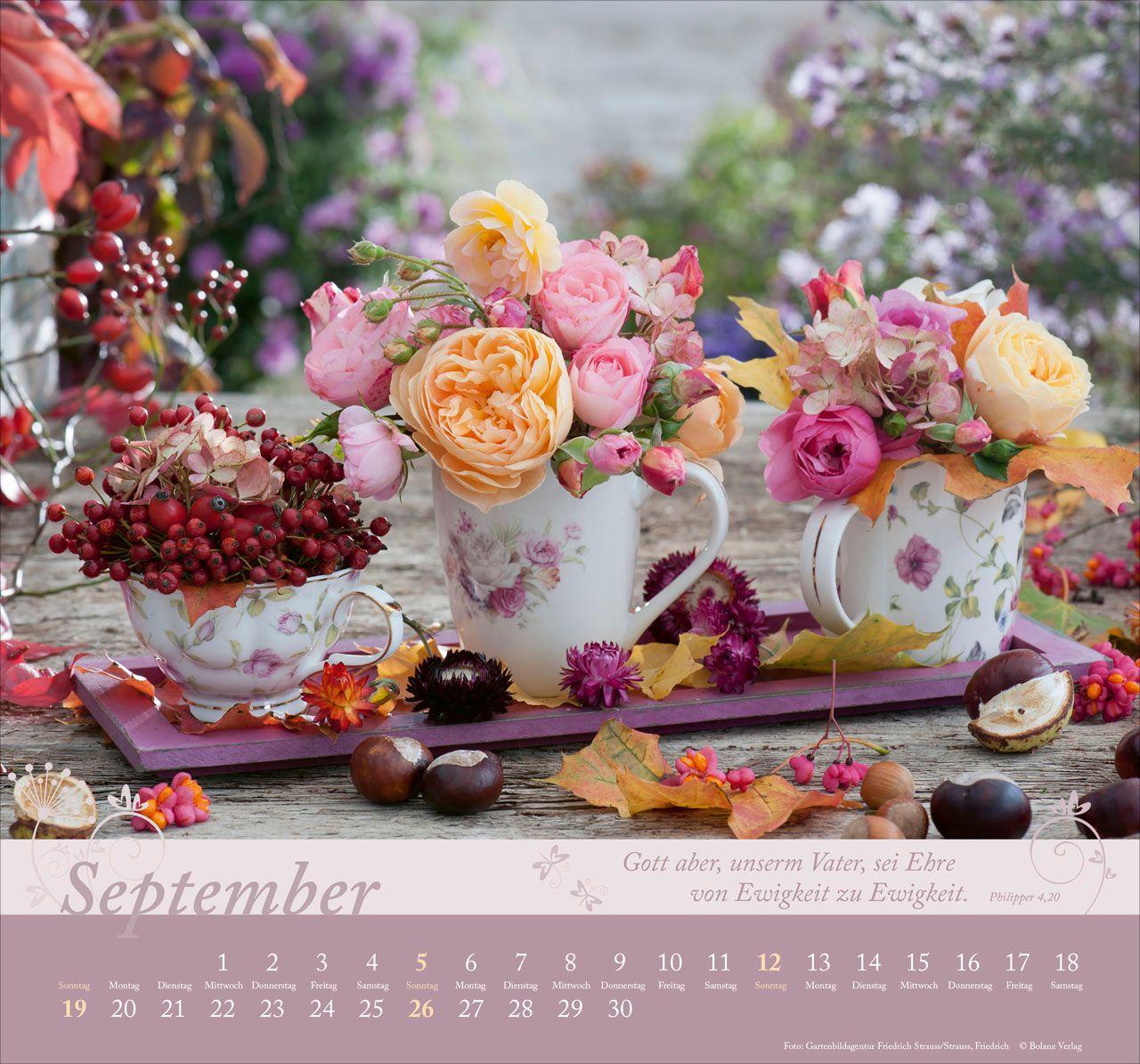 Wandkalender - Im Garten zuhause 2027 Wandkalender