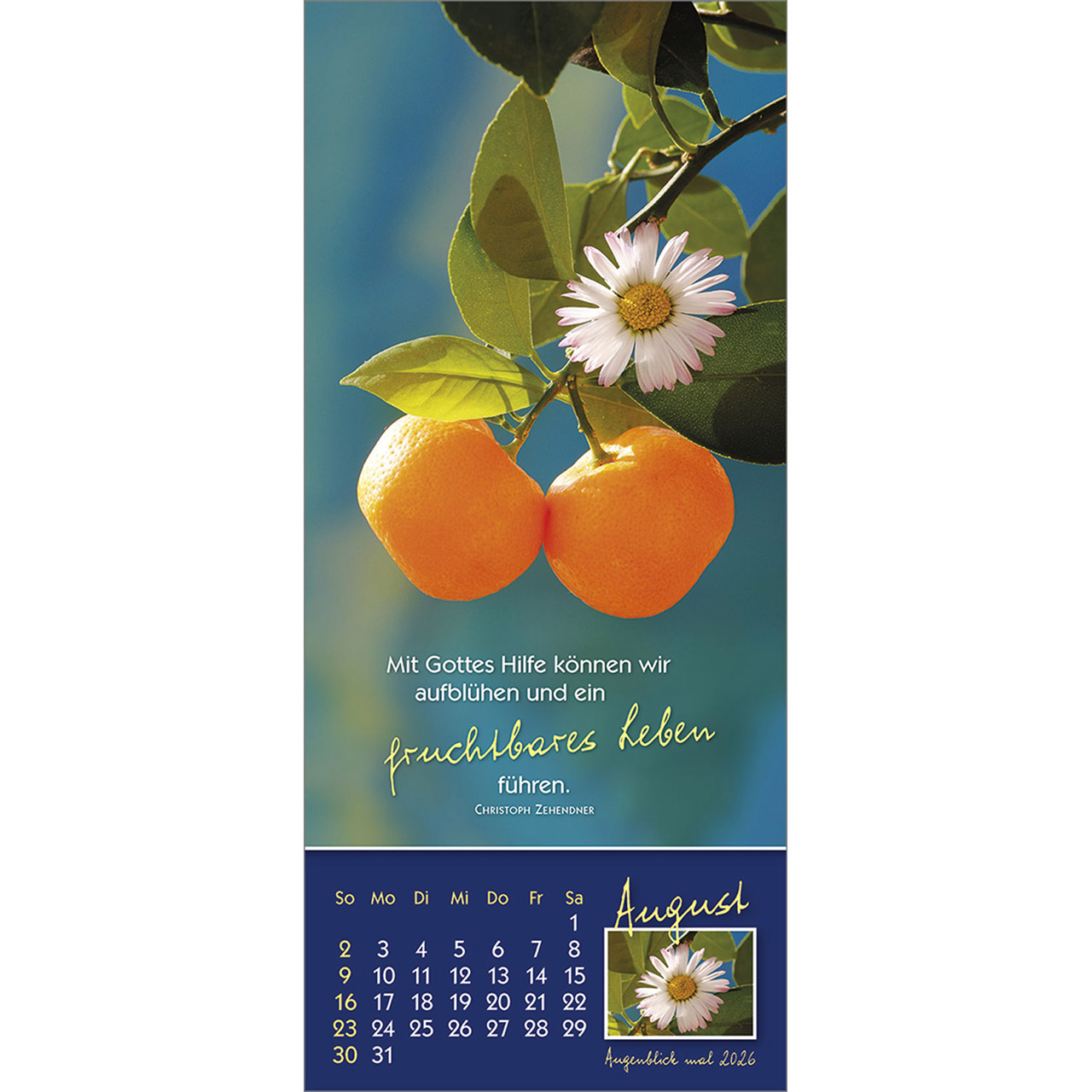 Tischkalender - Augenblick mal 2026