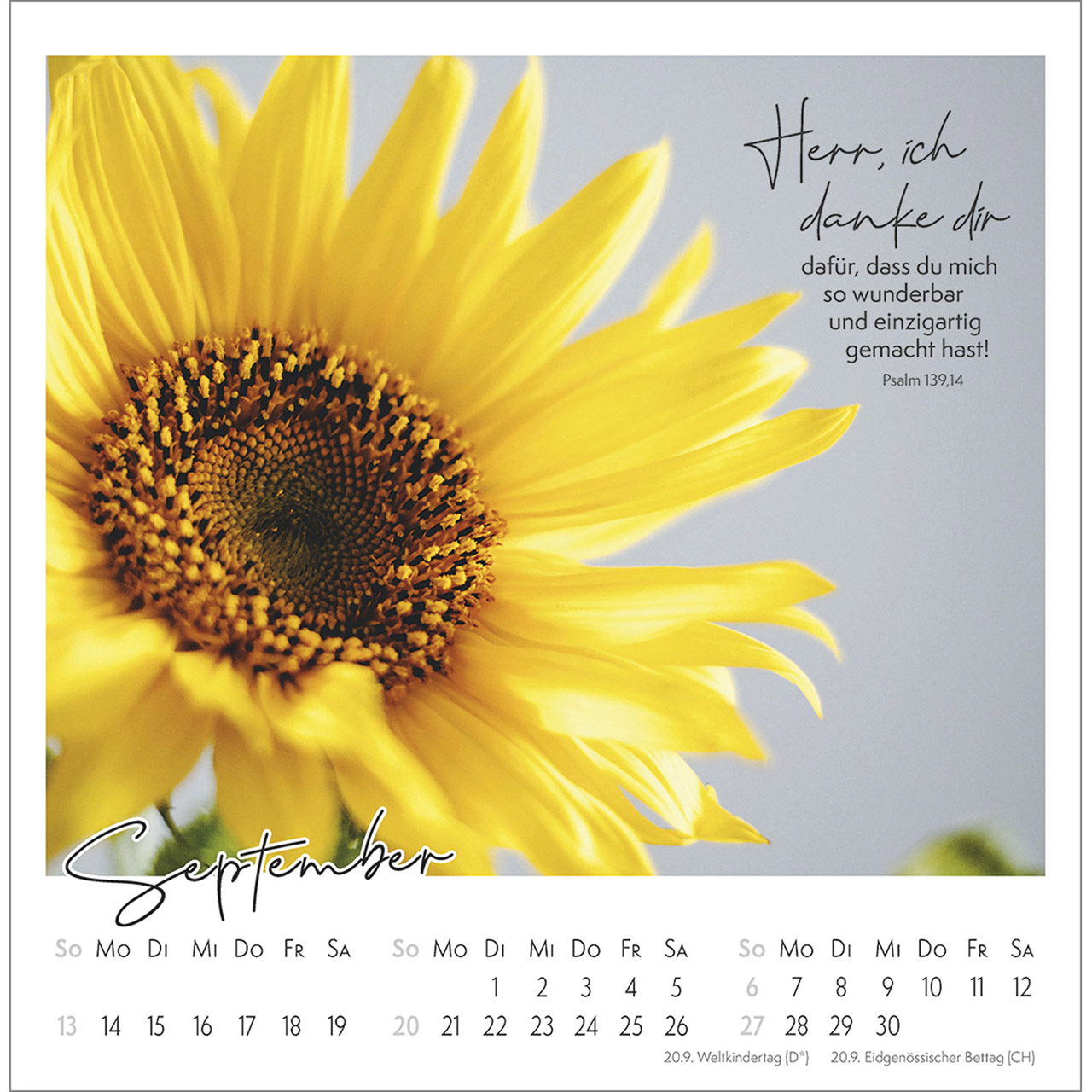 Postkartenkalender - Kleine Auszeit im Grünen 2026