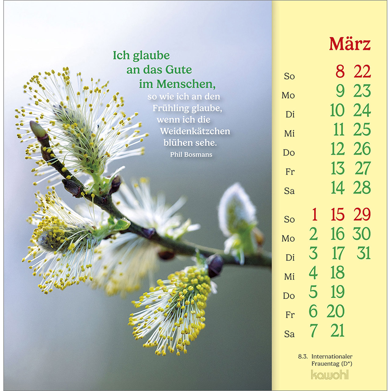 Postkartenkalender - Phil Bosmans - Postkarten-Kalender 2026