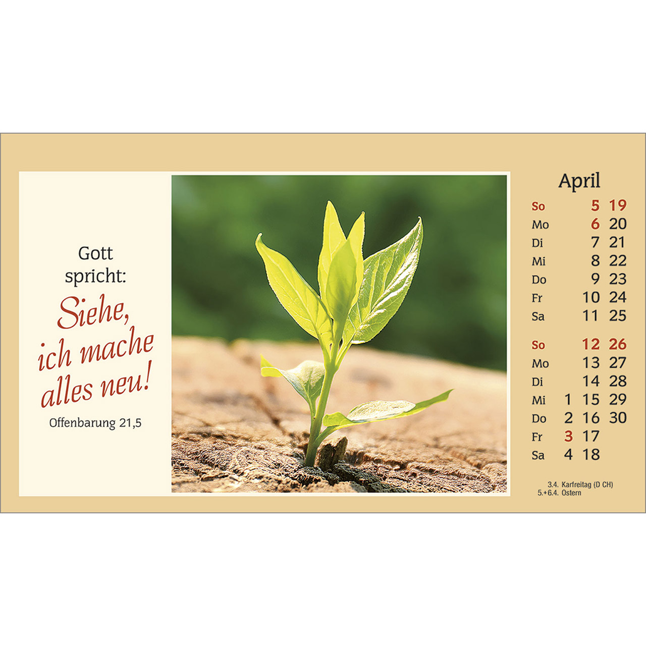 Tischkalender - Der kleine Begleiter 2026