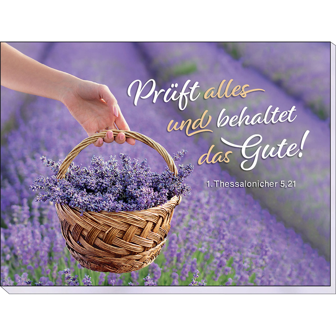 Haftnotizen - Prüft alles und behaltet das Gute! - Feld Lavendel Korb Hand