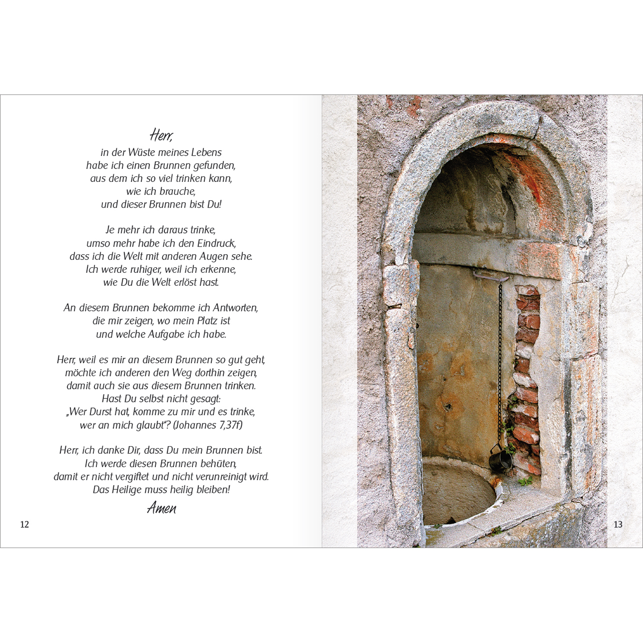 Buch - Am Brunnen - Brunnen Wasser Bäume Wiese Blumen