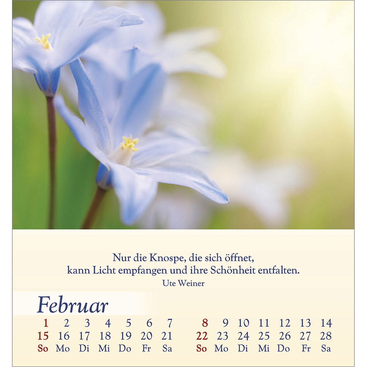 Tischkalender - Licht für deine Seele 2026