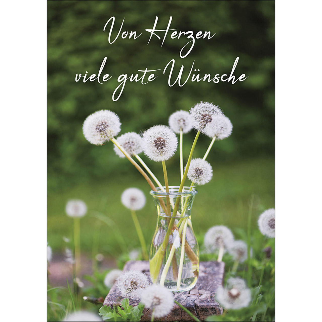 Von Herzen viele gute Wünsche