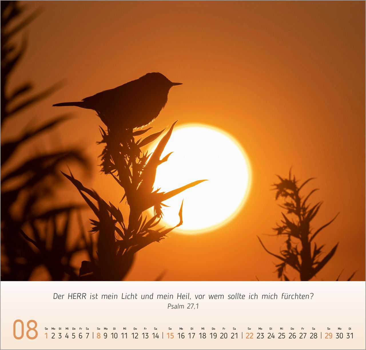 Wandkalender - Licht-Impressionen 2027 Wandkalender