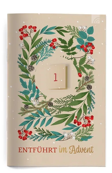 Buch - Entführt im Advent