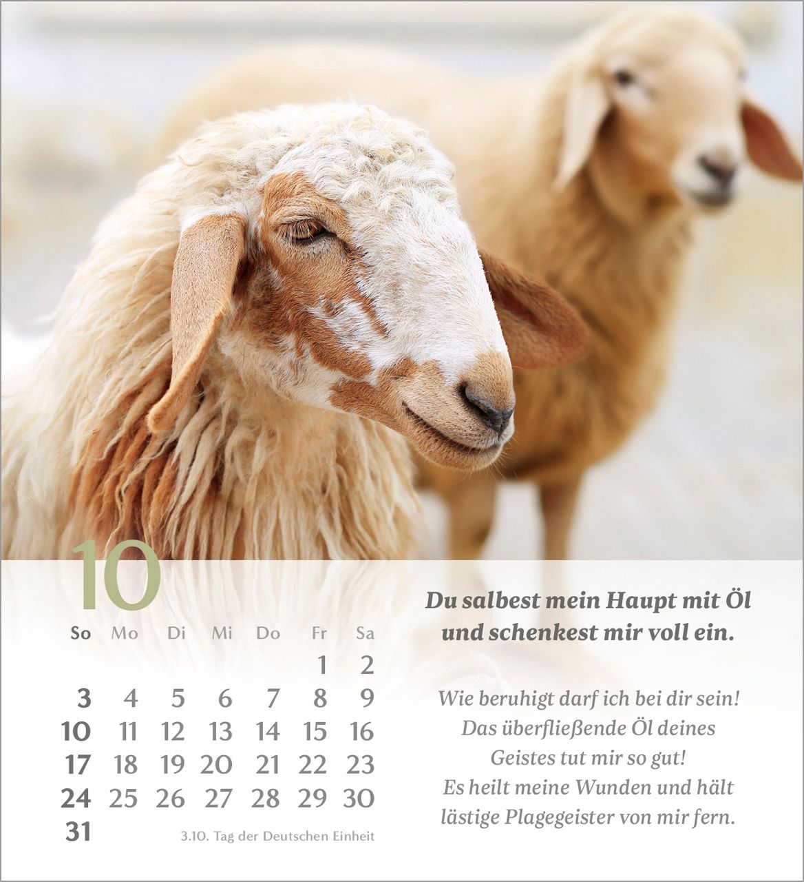 Tischkalender - Psalm 23 2027
