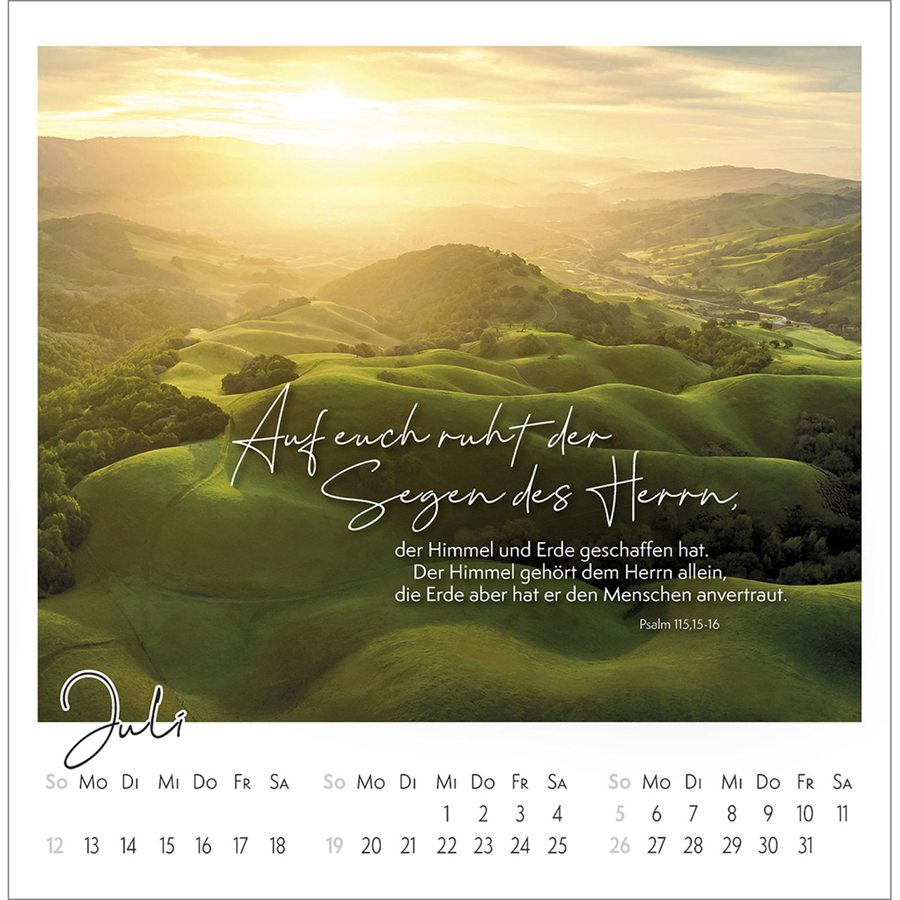 Postkartenkalender - Kleine Auszeit im Grünen 2026