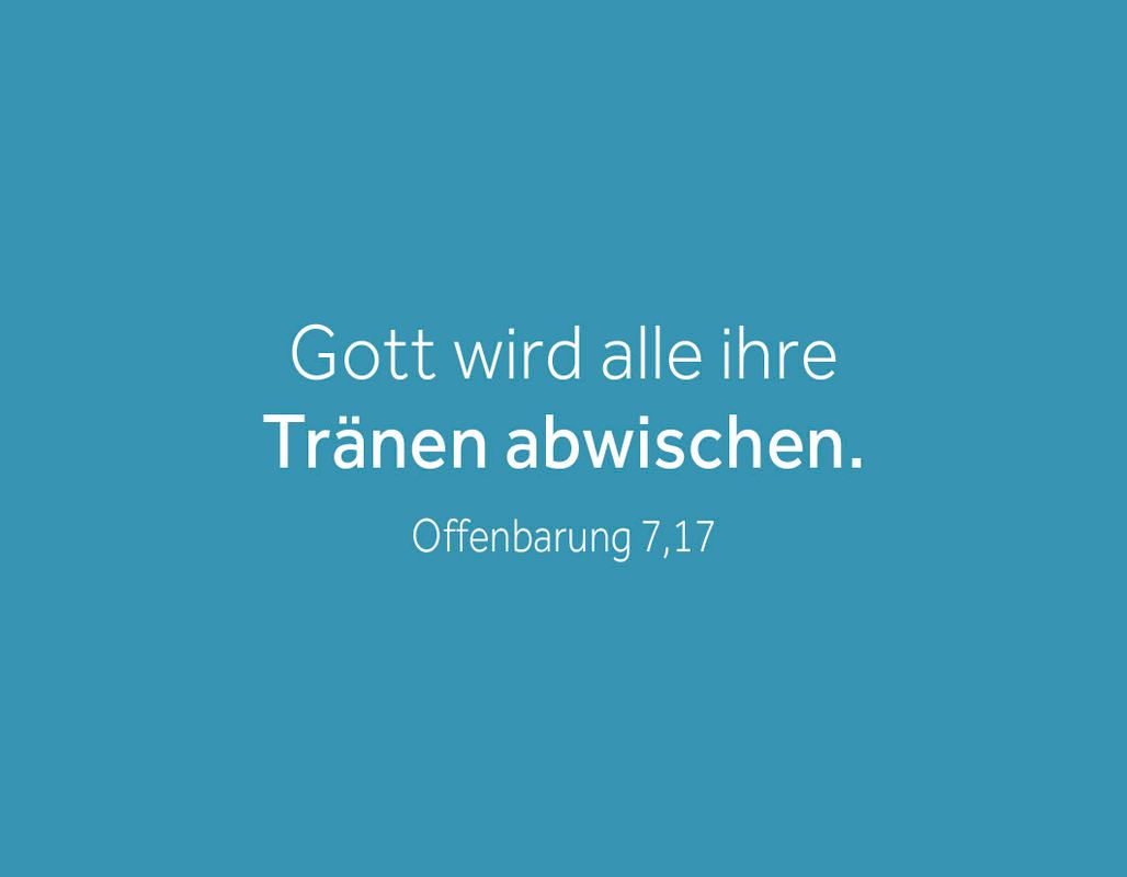 Karten-Box - Mein Gott kann.
