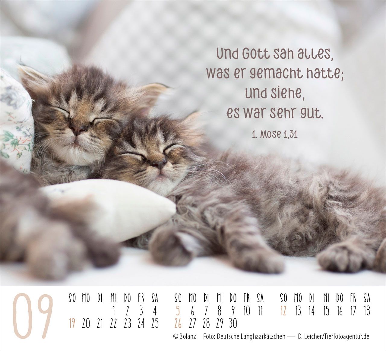 Aufstellkalender - Katzen 2027