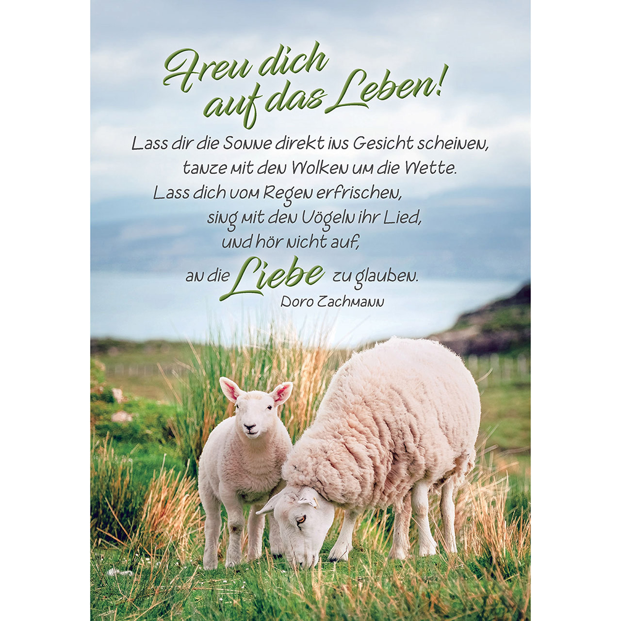 Freu dich auf das Leben!