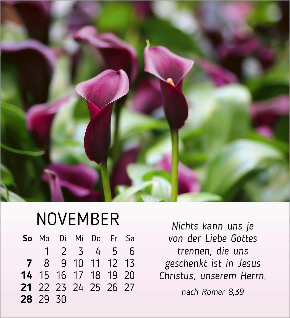 Tischkalender - Ich wünsch dir Freude 2027