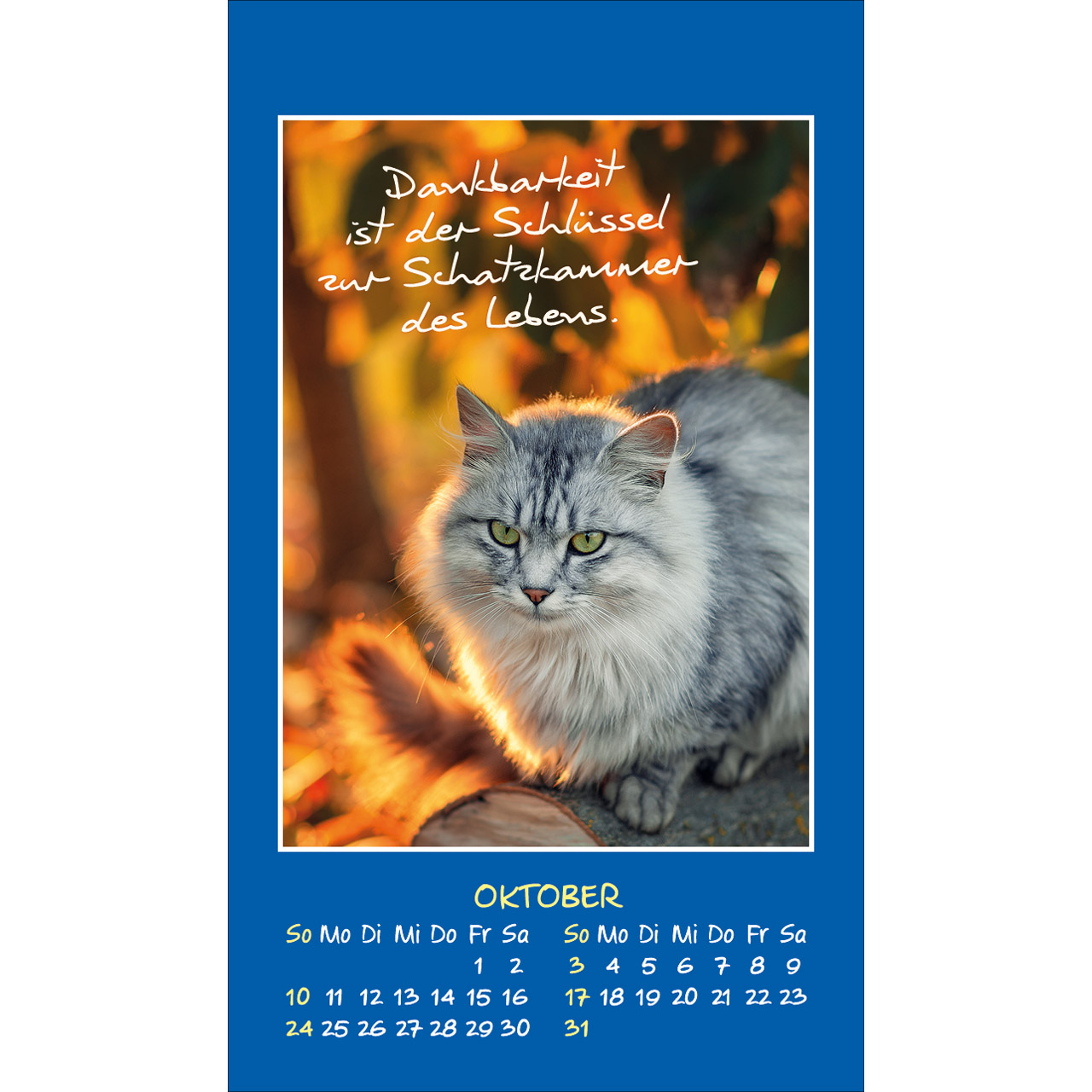 Aufkleberkalender - Mini Katzen-Tatzen 2027 - Katzen