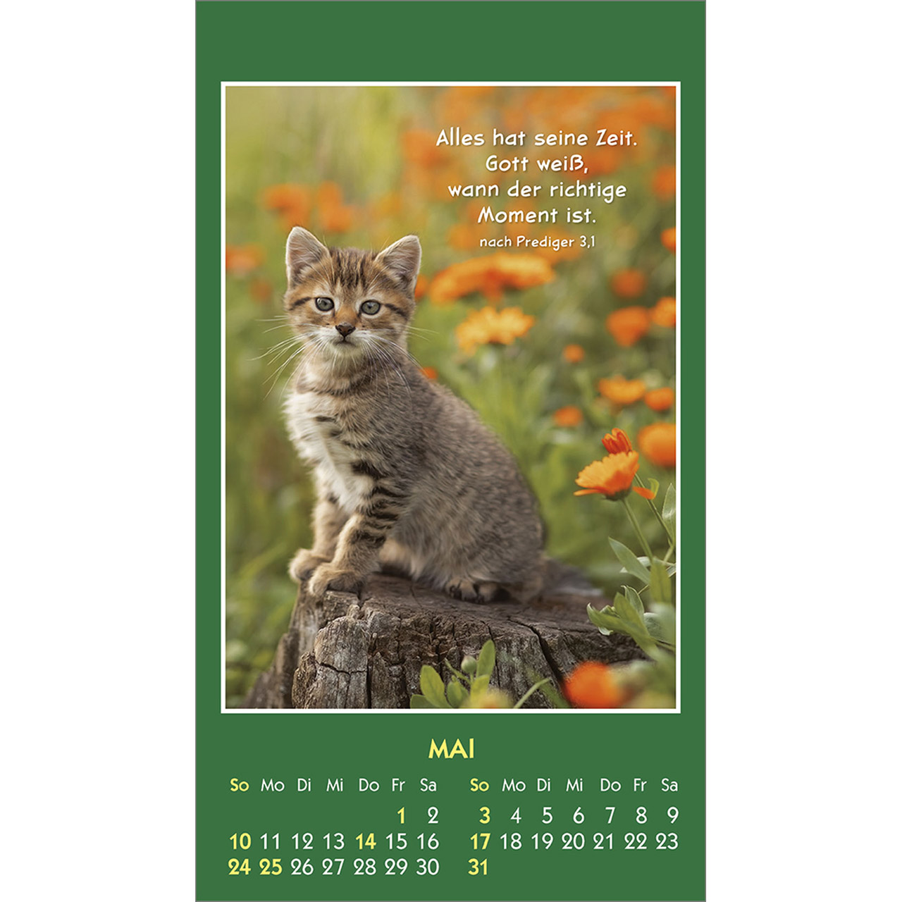 Aufkleberkalender - Hallo Du 2026 - Kaninchen Hase
