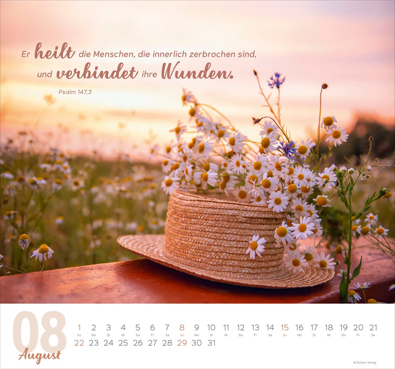 Wandkalender - Meine Zeit 2027 Wandkalender