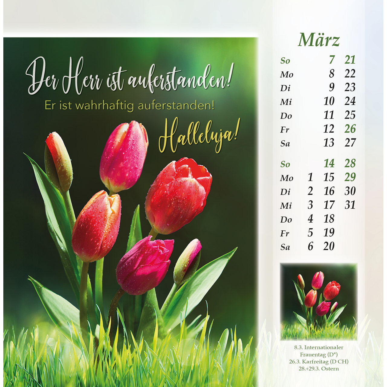 Postkartenkalender - Licht vom unerschöpften Lichte 2027