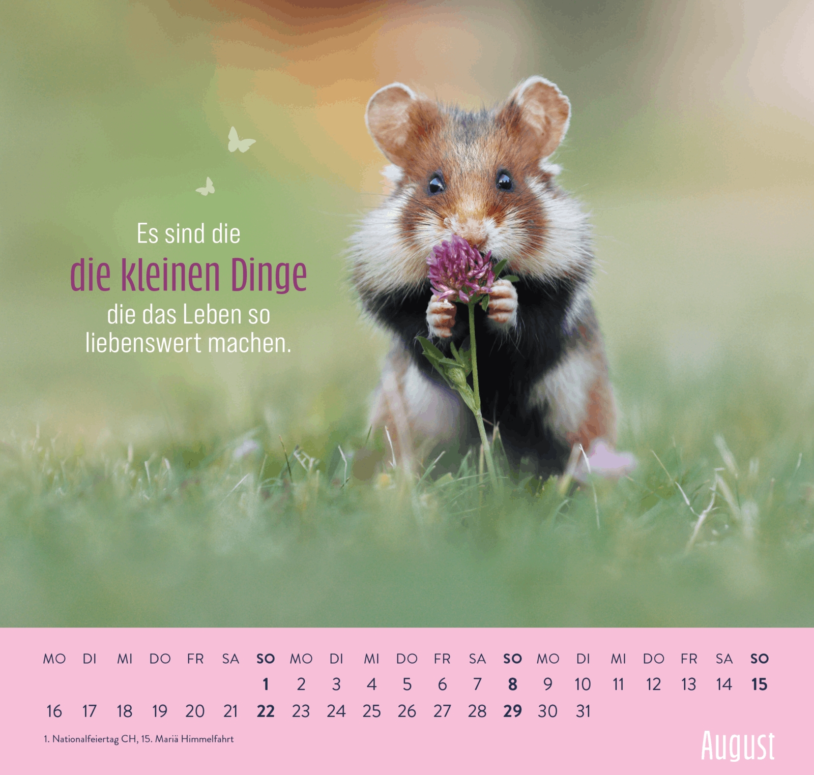 Wandkalender - Kleine Glücksbringer für dein Jahr 2027