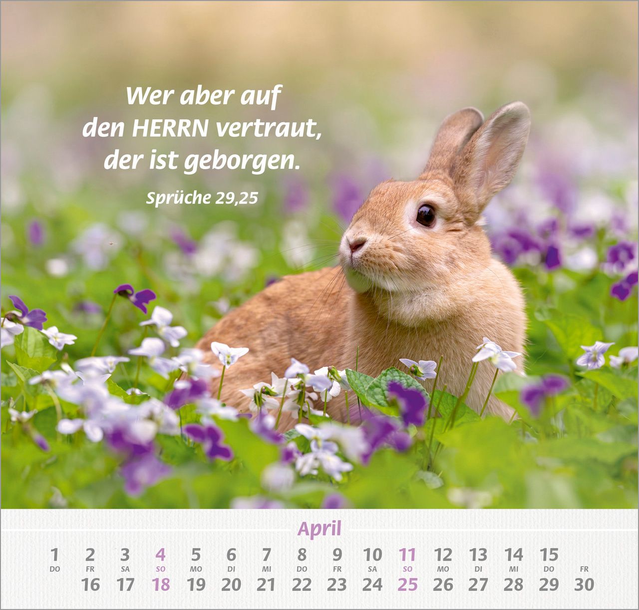 Wandkalender - Ich hab dich gern 2027 Wandkalender
