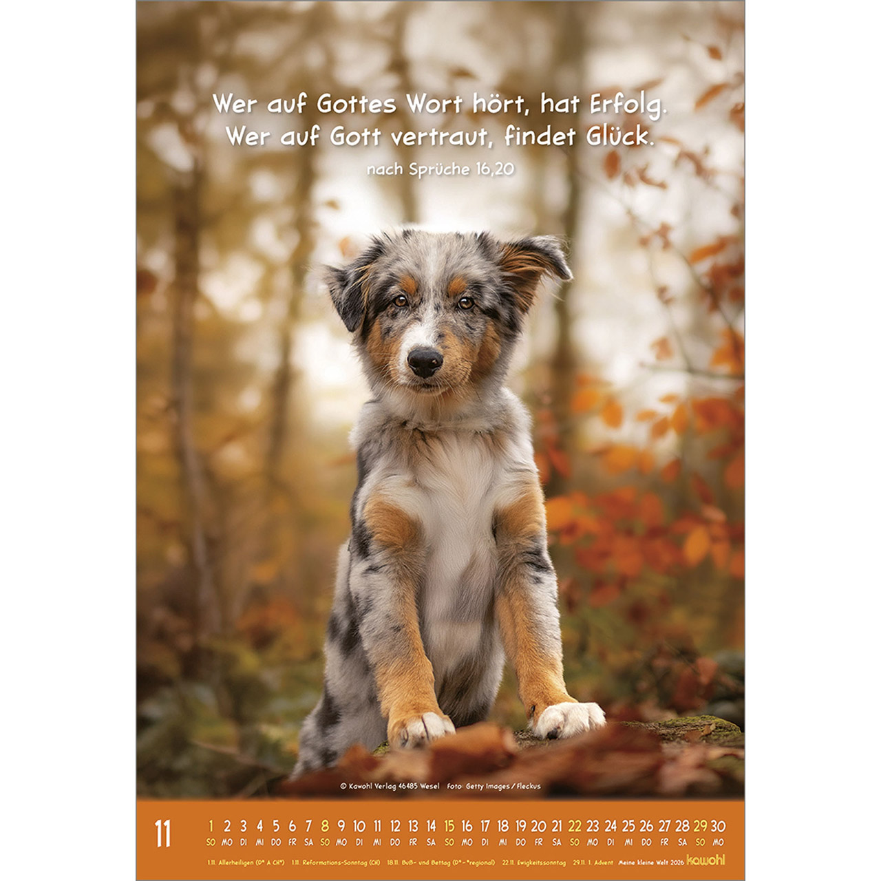 Wandkalender - Meine kleine Welt 2026