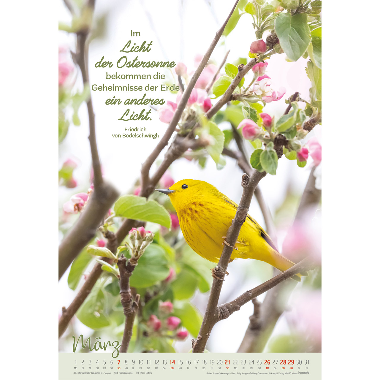 Wandkalender - Beflügelt und getragen 2027