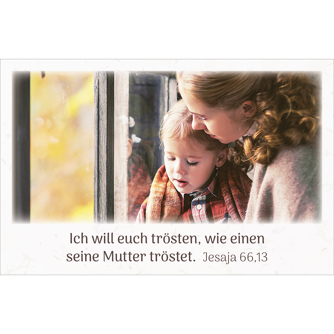 Karten-Box Kunststoff - Himmlische Zusagen - Wald Lavendel Bäume Weg