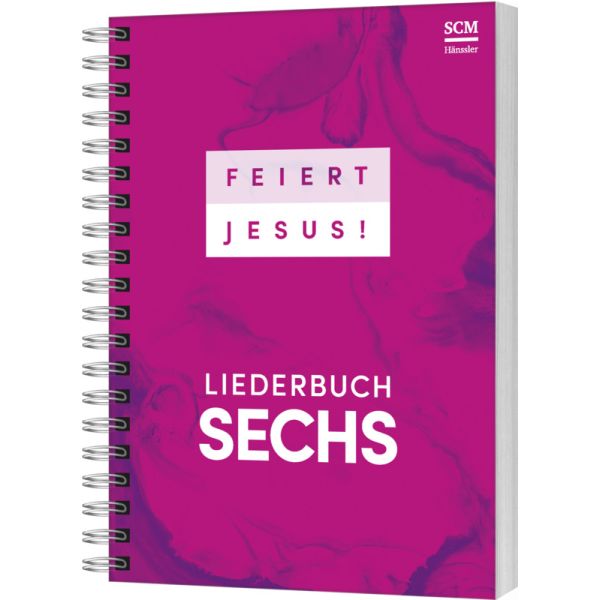 Feiert Jesus! 6 (Ringbuch DIN A5)