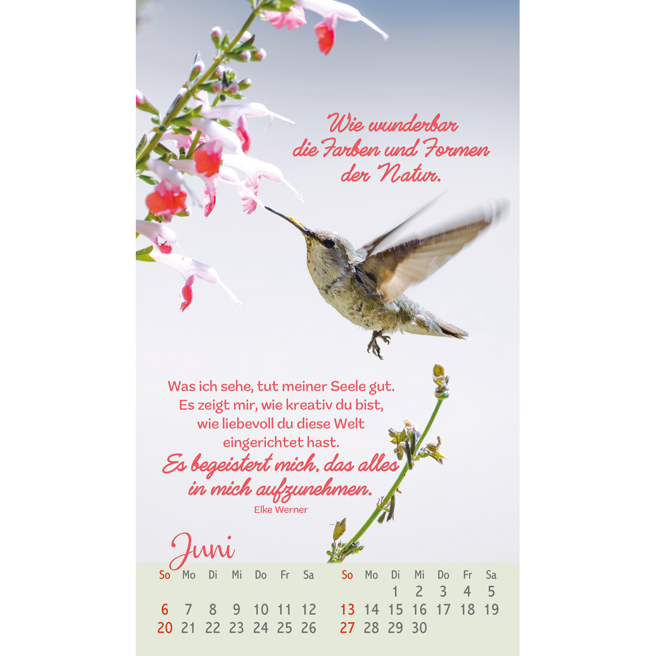 Postkartenkalender - Beflügelt und geborgen 2027