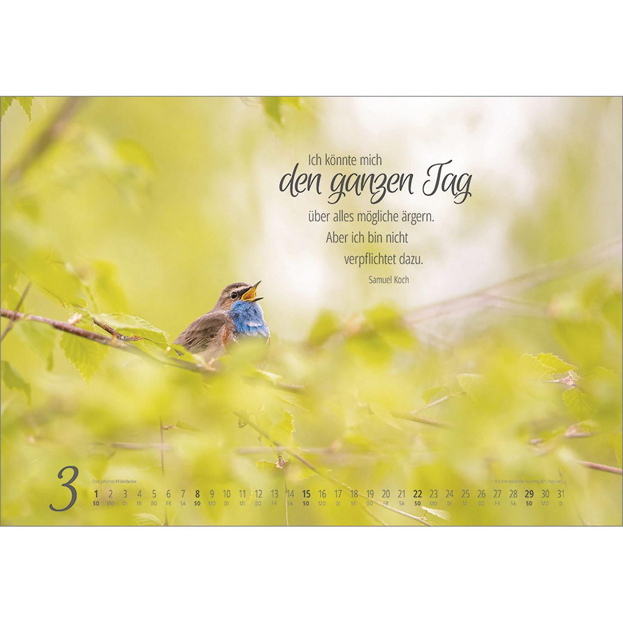 Wandkalender - Real Wildlife 2026