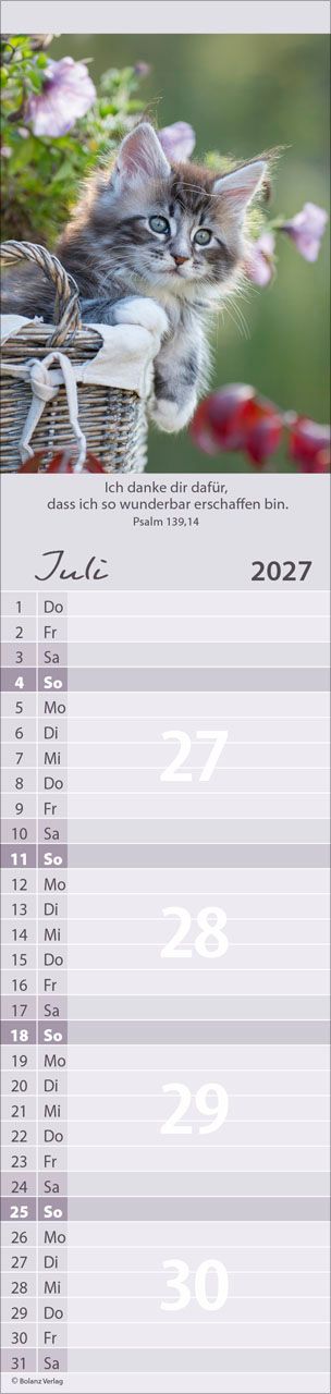 Terminkalender - Für Euch 2027 Streifenterminkalender