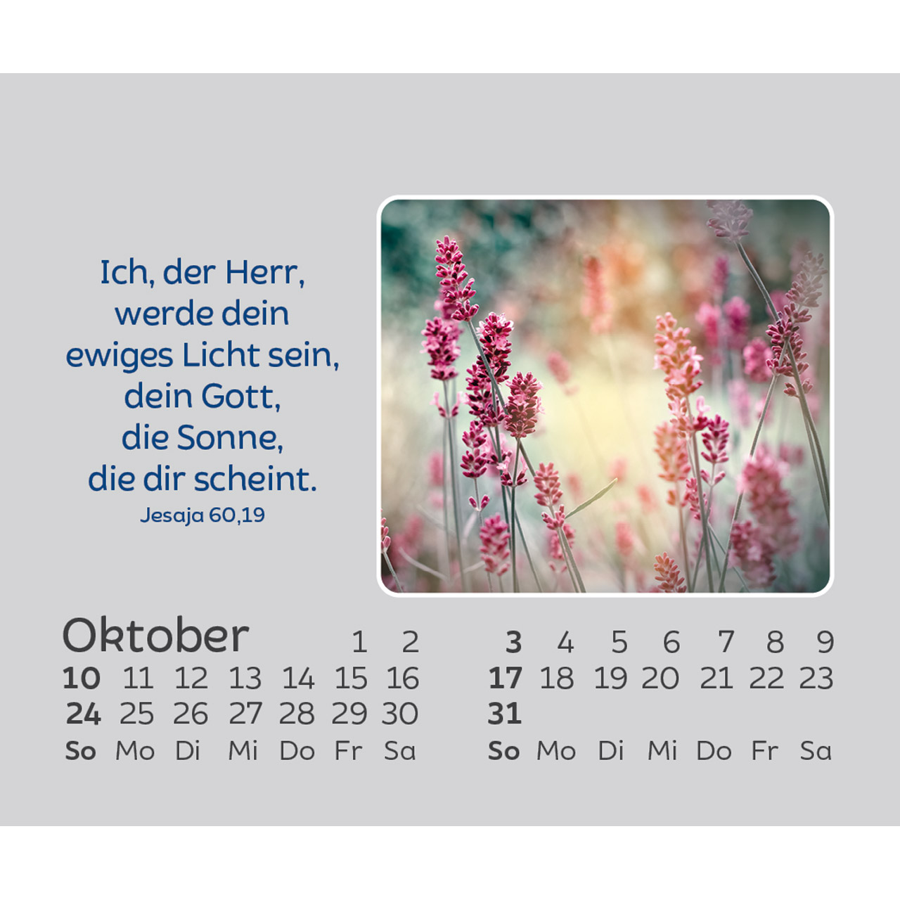 Aufstellkalender - Hoffnung für jeden Tag 2027
