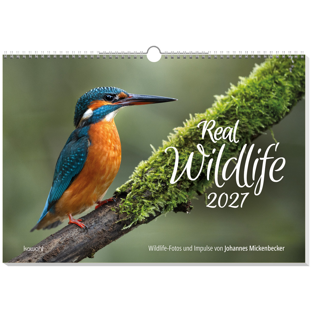 Notizblock - Über allen Hiobs Botschaften - Leuchtturm Felsen Meer