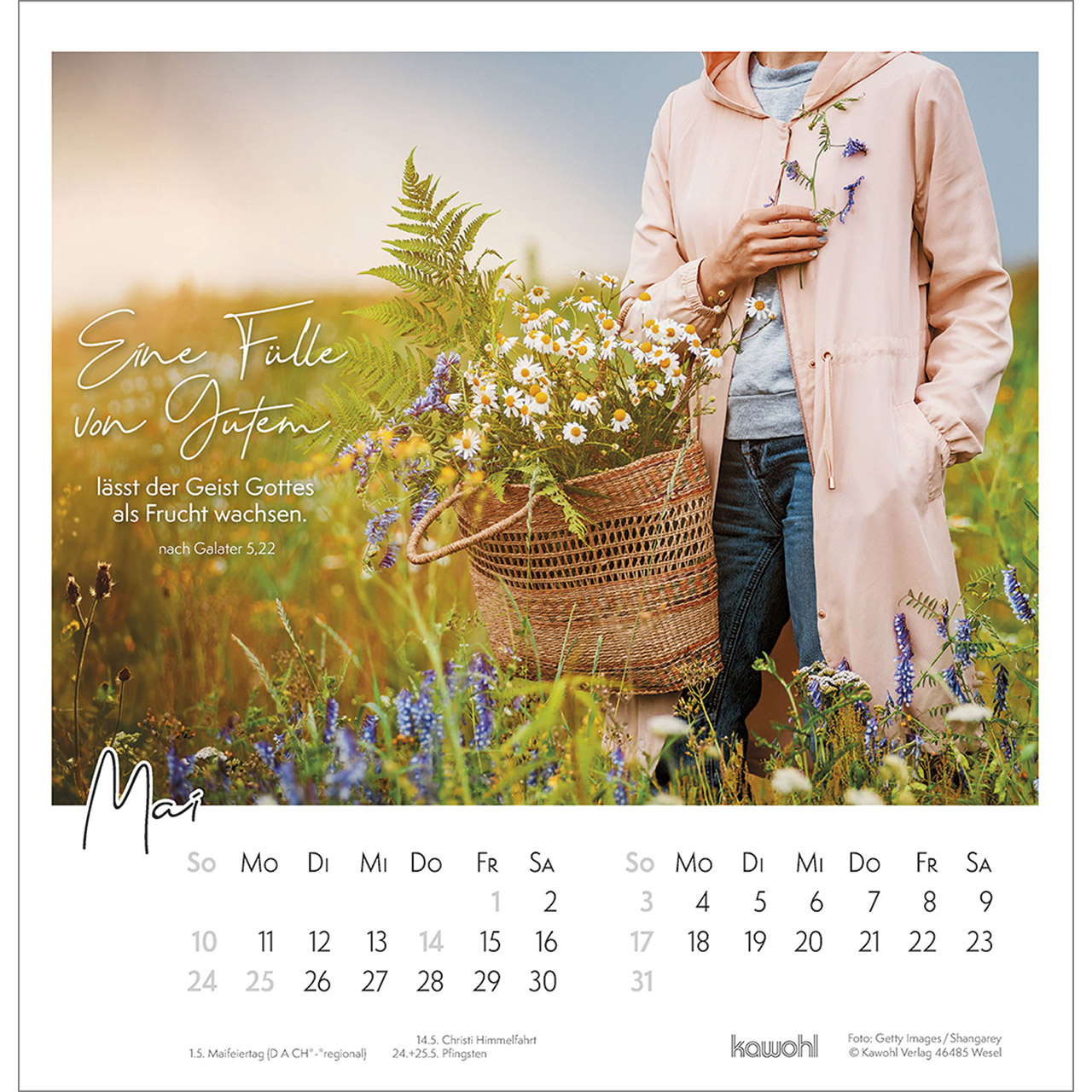 Wandkalender - Auszeit im Grünen 2026